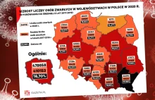 Nadmiarowe śmierci w Polsce w 2020 r. Najbardziej ucierpiało południe...
