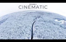 Wielkopolska w śniegu | DJI Mini 2 Cinematic