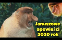 JANUSZOWE OPOWIEŚCI - 2020 ROK (SZANTY PARODIA)