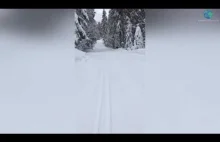 Spotkanie strażnika leśnego z cietrzewem na śniegu