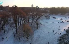 Zima w Szczecinie - bajkowy widok