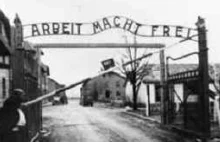 Muzeum Auschwitz-Birkenau reaguje na sformułowanie o polskich obozach w Politico