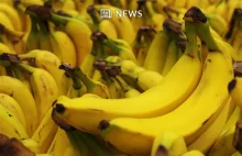 Do sklepu spożywczego dotarły banany z kolumbijską kokainą