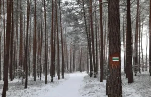 Nowe szlaki turystyczne. Sprawdź na mapie