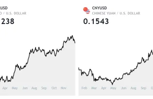 Assessing the impact of Bitcoin on the international financial system