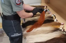 Przemyt prawie 5 kilogramów ludzkich włosów udaremniony przez celników w...