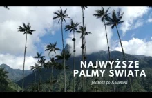 Trekking w Kolumbii i najwyższe palmy świata