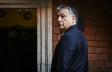 "Wykrwawić miasta rządzone przez opozycję" Orban szykuje się do wyborów w 2022 r