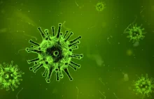 10 najgroźniejszych wirusów na Ziemi