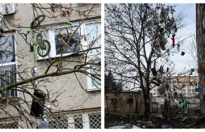 Pomnik biedy umysłowej w Szczecinie