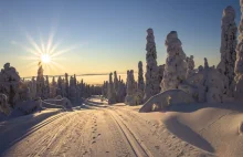 Letnie igrzyska olimpijskie... w Laponii? Fińskie miasto ubiega się