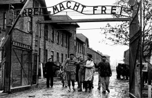 Auschwitz. 76 lat później. Pamiętamy – Gazeta Trybunalska