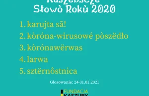 Wybierają Kaszubskie Słowo Roku 2020. Wśród kandydatur: "karujta sã!" ("wyp***")