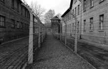 Facebook zamierza zwalczać narracje negujące Holokaust