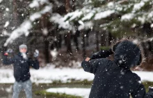 "Bild": Gigantyczna kara za organizację bitwy na śnieżki