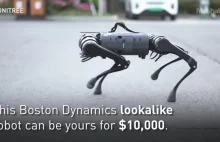 Można kupić zwierzaka robota za jedyne 10 tysięcy dolarów.