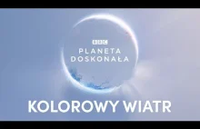Krzysztof Zalewski (prod. Smolik) – Kolorowy wiatr