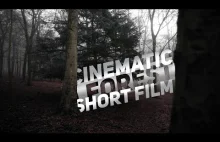 Black Pro Mist 1/2 + A7III + Sony 24mm 1.4 GM | Cinematic Short Movie