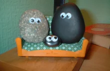 Pet Rock, czyli zwierzak domowy w postaci... kamienia