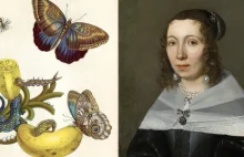 Genialna dyletantka. Maria Sybilla Merian, jej malarstwo i przełom w entomologii