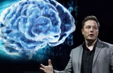 Elon Musk podłączył małpę do interfejsu mózg-komputer. „Teraz to...
