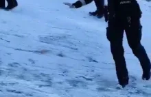 Gorliwa policjantka na lodzie (video)