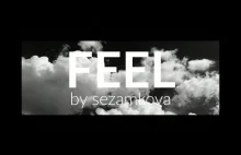 Sezamkova - "Feel"