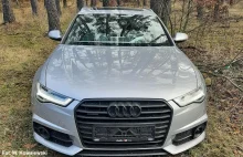 W lesie znaleziono opuszczone Audi warte około 200 tys. zł | FOTO