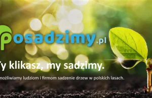 Portal Posadzimy.pl Posadzili już 6303 drzew!