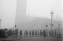 W 1952 roku smog w Londynie spowodował śmierć nawet 12 tysięcy osób!