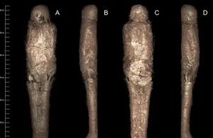 W Egipcie odkryto mumię błotną