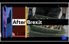 Realia Brexitu: export mięsa, ryb i owoców morza z UK do Europy leci na łeb