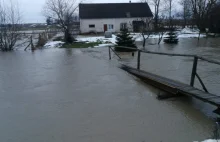 Rzeka wystąpiła z brzegów i podtopiła posesje. Interweniowali strażacy.