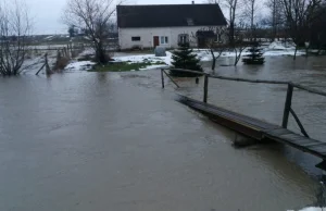 Rzeka wystąpiła z brzegów i podtopiła posesje. Interweniowali strażacy.