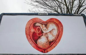 Kto stoi za słynnymi plakatami?Szef jednej z największych firm nie lubi rozgłosu