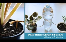 Easy Drip Irrigation System at Home in 5 Minutes