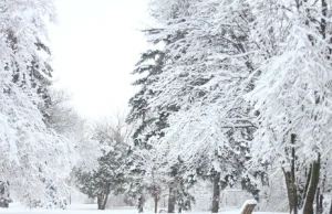 Nawet -23 stopnie i pół metra śniegu. IMGW ostrzega przed atakiem zimy!