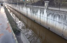 Zwłoki w rzece w Katowicach. Policja prosi o pomoc w identyfikacji ciała