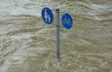 Sekwana zatopi Paryż? Wielkie niebezpieczeństwo