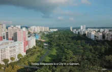 Singapur, chociaż już jest miastem-ogrodem, planuje dosadzić sobie milion...
