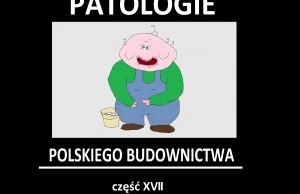 PATOLOGIE POLSKIEGO BUDOWNICTWA cz.17 (przypadek Luisa)