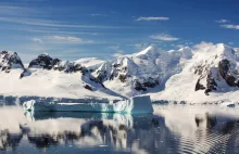 Naukowcy przez przypadek znaleźli życie pod lodem Antarktydy.