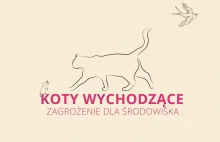 Koty wychodzące - zagrożenie dla środowiska