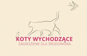 Koty wychodzące - zagrożenie dla środowiska