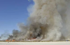 Podczas zajęć z robienia bomb zginęło 30 Talibów