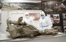 Rosjanie badają prehistoryczne wirusy uwalniane z wiecznej zmarzliny
