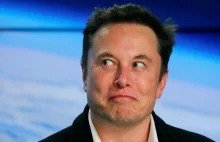 Zrobili ludzi w balona, bo udawali Elona. Ukradli milion metodą „na Muska”