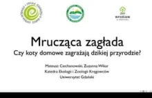 Mrucząca zagłada. Czy koty domowe zagrażają dzikiej przyrodzie?