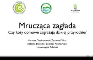 Mrucząca zagłada. Czy koty domowe zagrażają dzikiej przyrodzie?