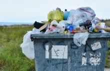 Eurostat: Polska wytwarza relatywnie najmniej śmieci w UE